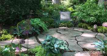 Backyard Oasis: Toronto shade garden offers peace, tranquility amid hard times - Globalnews.ca