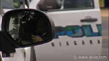 Police: Man ticketed after leaving dog in hot car in Niagara Falls