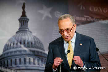 Schumer introduces plan for some businesses to receive second PPP loan
