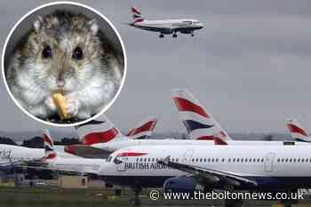 Can coronavirus be spread through the air?