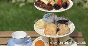 Newcastle-Gateshead afternoon tea delivery service launches and it's guilt free!