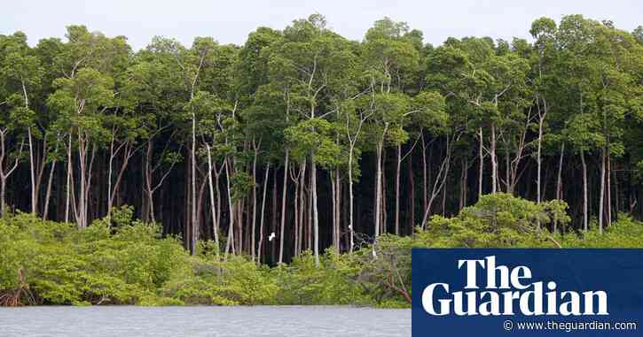 Protecting 30% of planet could bolster economy, study says