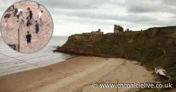 Footage shows mass brawl on Tynemouth beach as police confirm no action
