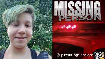 West Mifflin Police Looking For Missing Child Sam Price