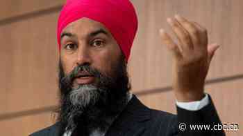 Singh says Rideau Hall incident would have ended differently if suspect was person of colour