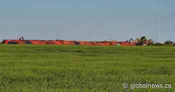 Train derails along Highway 39 near Halbrite, Sask.