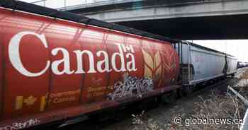 Canada’s largest railways report record grain shipments