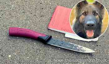 Police dog helps catch man with knife in Croydon chase
