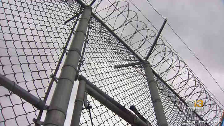 COVID-19 Cases in U.S Prisons 5 Times Higher, Death Rate 3 Times Higher Than General Population, Study Says