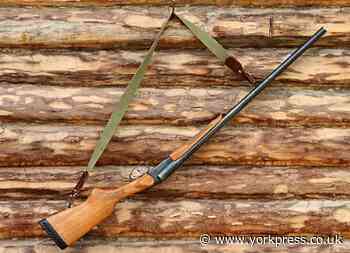 Guns, Tasers, knuckle dusters, machete, axe... all seized by police in operation