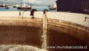 SMA formula cargos contra Pesquera Foodcorp Chile por incumplimientos ambientales en Coronel - Mundo Acuícola