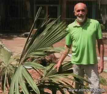 Alberto Coronel: Un amigo de la ciudad - El Impulso