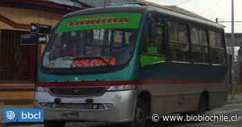 Dos líneas de buses operan en Coronel tras inicio del cordón sanitario y sólo colectivos en Lota - BioBioChile
