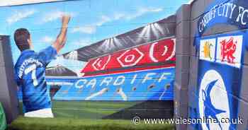 Cardiff City fan unveils poignant tribute to Peter Whittingham with mural