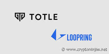 Totle Swap adds support for Loopring (LRC) token » CryptoNinjas - CryptoNinjas
