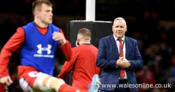 Wales' strength in depth chart rated and who's likely to start in each position