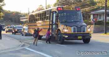 Province and parents weigh options for school transportation amid COVID-19
