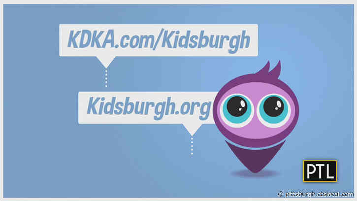 Kidsburgh: Zoom Training Classes Can Help Dog Owners Stuck In The House