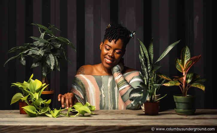 Stems & Stone Launches Subscription Service for House Plants