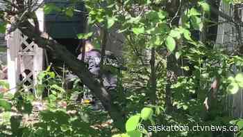 After going missing, man seen in video of violent Saskatoon arrest found safe