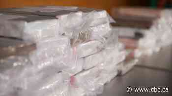 2 men from Ontario facing drug charges after traffic stop near Davidson, Sask.