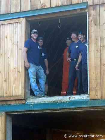 Firefighters lend hand to injured farmer