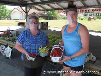 Strawberry fields forever? No, the 2020 season in SDG is winding down