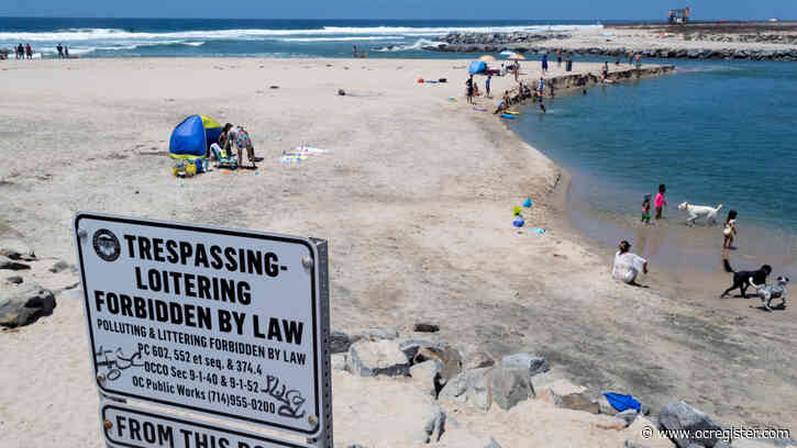 Bird lovers skeptical of Coastal Commission’s moves to end illegal dog beach in Newport Beach
