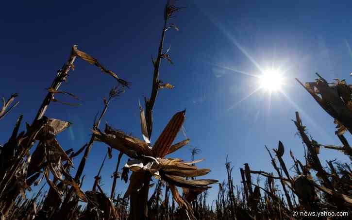 Chances of global warming to 1.5C within five years doubles under new modelling