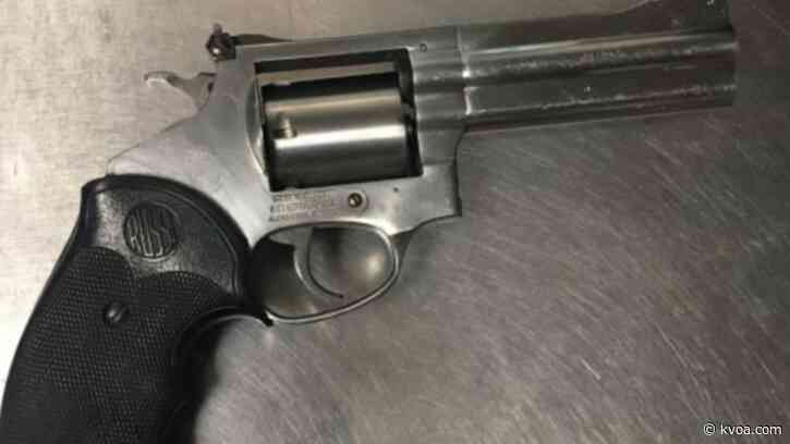 Border Patrol canine unit leads to drug, firearm bust