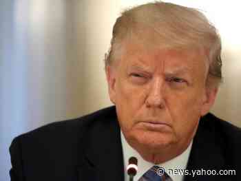 Trump has 91% chance of winning second term, professor’s model predicts