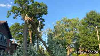 Some Toronto residents may be without power early Thursday after storm sweeps Toronto