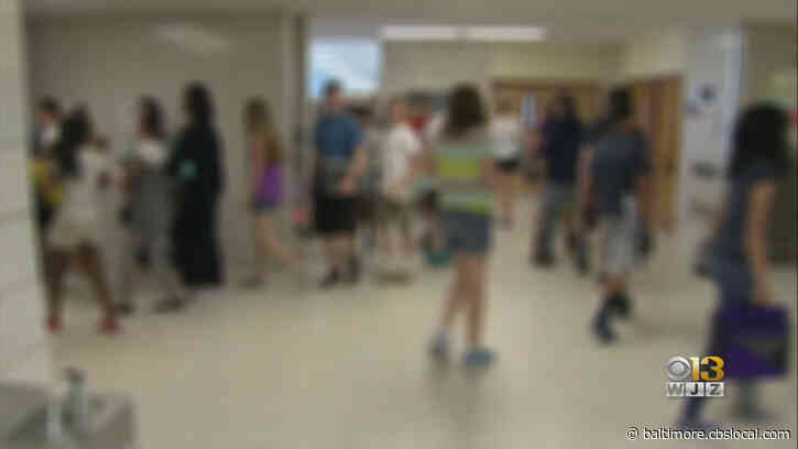 Baltimore County Public Schools Community Discusses Race, Racism During Virtual Forum