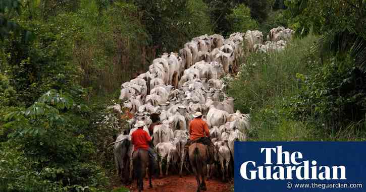 Banks and pension funds among investors bankrolling meat and dairy