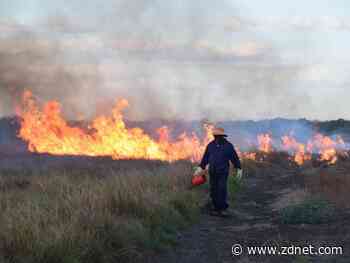 Telstra is carbon neutral but found it hard to purchase Australian offsets