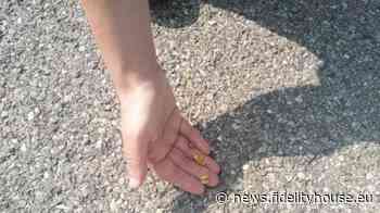 Maranello: ancora puntine in strada per bucare le gomme dei ciclisti. Indaga la Municipale - Fidelity News