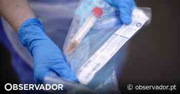 Câmara de Vila do Conde garante que foco de infeção em conserveira "está controlado" - Observador