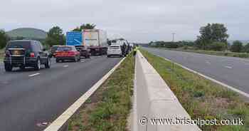 Woman picked flowers while stuck in hour-long M5 jam
