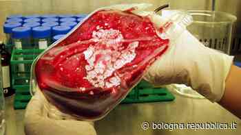 Modena, testimone di Geova salvato con terapia "bloodless" senza trasfusione - La Repubblica