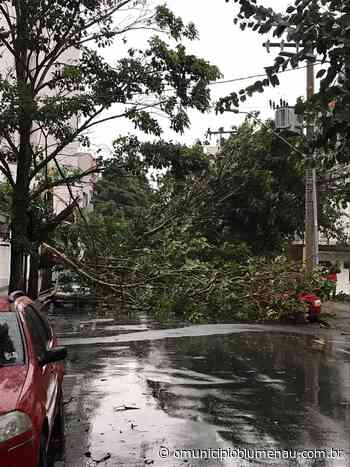Blumenau deverá decretar emergência após resultado dos fortes ventos desta terça-feira - O Município Blumenau