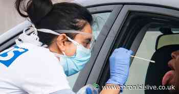 Taxi drivers and cleaners among high-risk workers to be tested for coronavirus