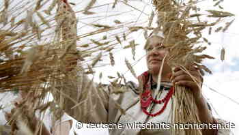 Russlands Ernte hinkt dem Vorjahresniveau weit hinterher