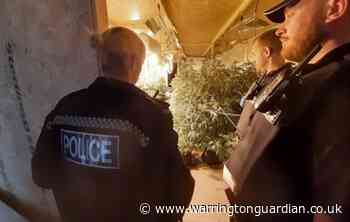 Cannabis farm discovered in industrial unit on Bridge Lane