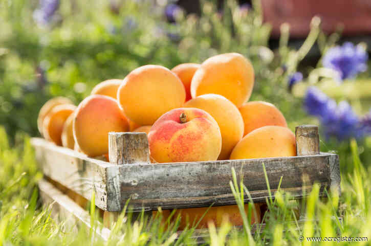 Summer fruit is ripening fast in the heat: Here’s what to do