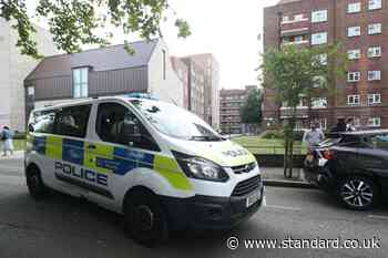 Boy, 13, given referral order for police attack in Hackney - Evening Standard
