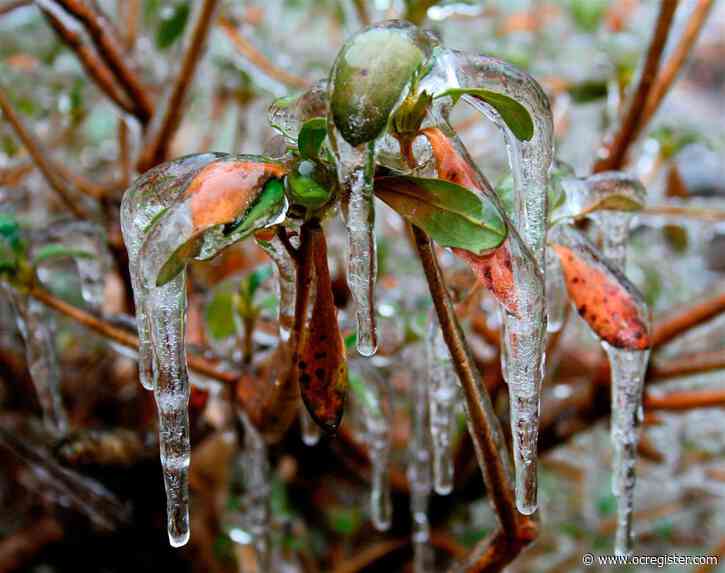 Climate change keeps changing the game for home gardeners