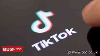 TikTok deleted 49 million 'rule-breaking' videos