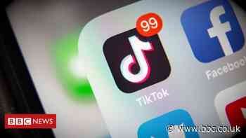 TikTok algorithm promoted anti-Semitic death camp meme