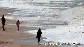 Canada joins international group of 22 countries to protect oceans - Lethbridge News Now