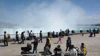 Parents concerned about children's social lives, survey says - Lethbridge News Now